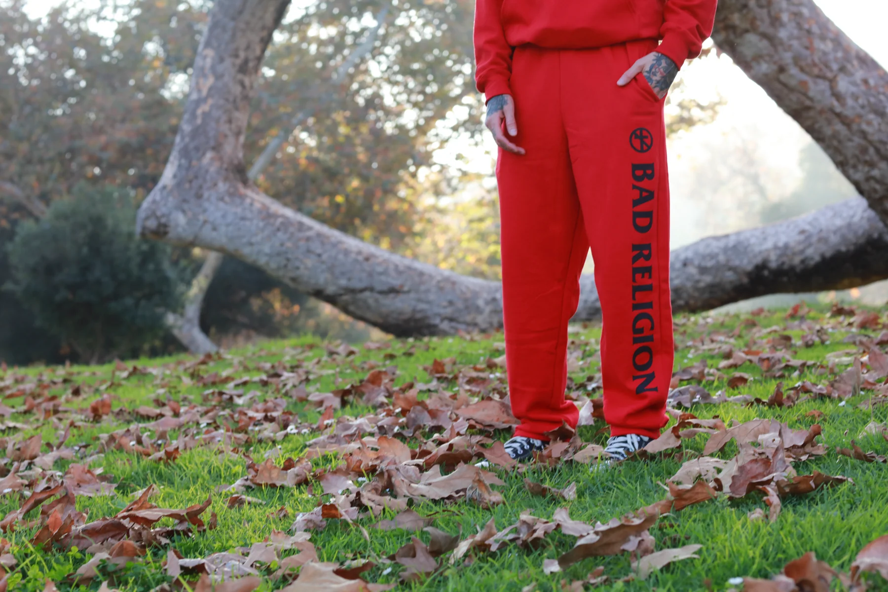 Logo Hoodie & Sweatpants Bundle (Red) - Image 9